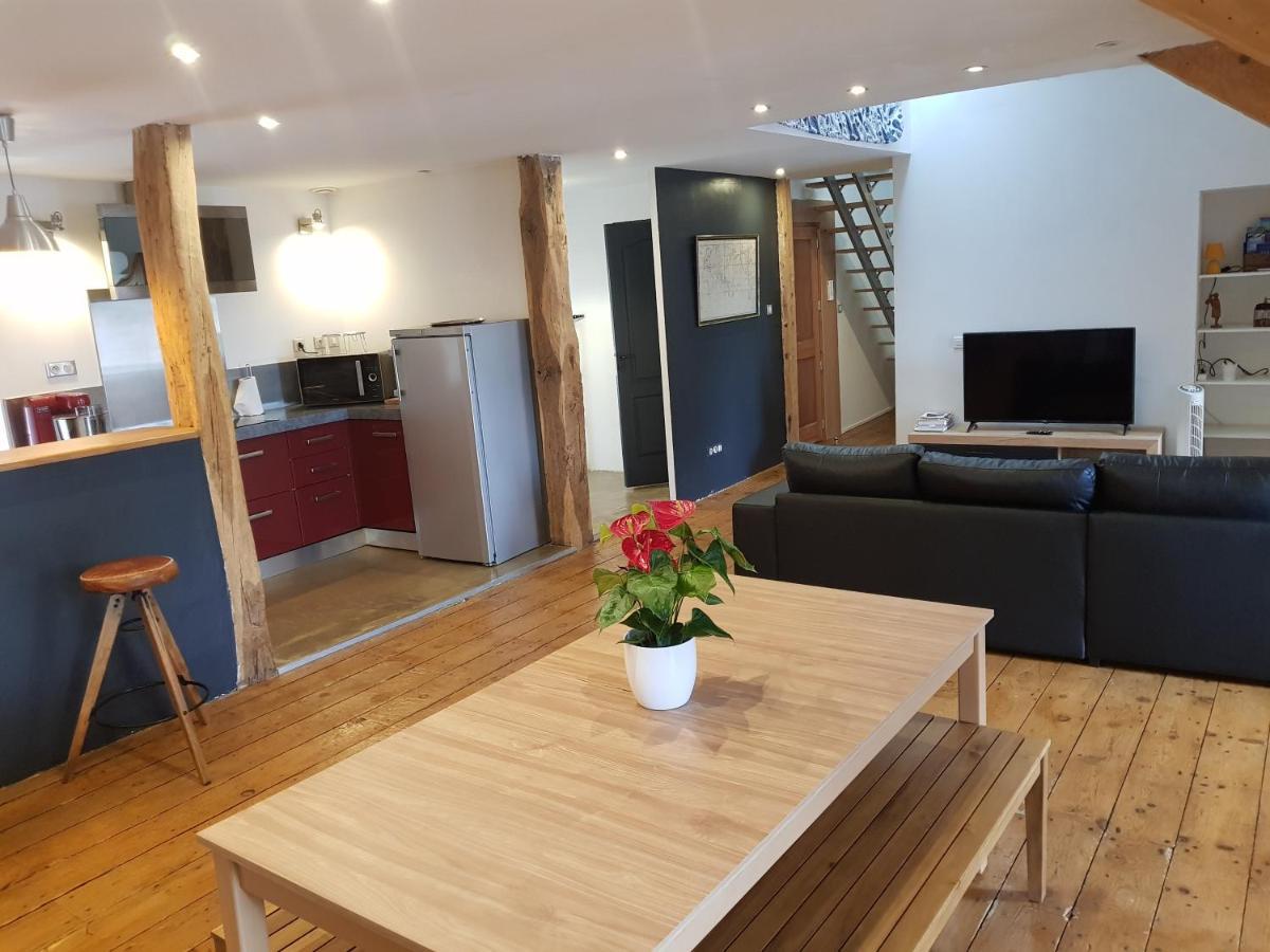 Loft Dans Les Pyrenees Apartment Oloron-Sainte-Marie Exterior photo